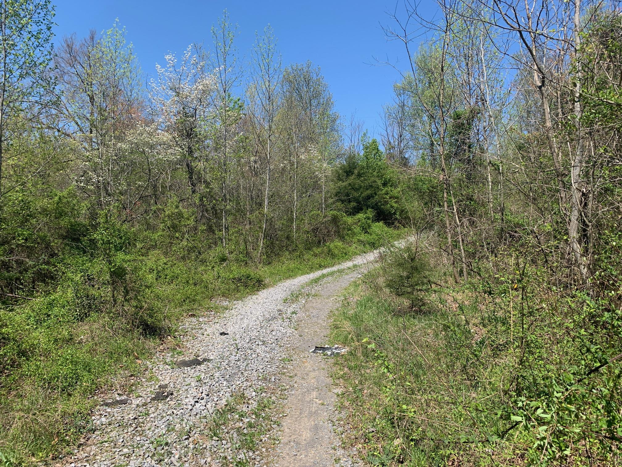 1341 Greenlee Road Rutledge, TN 37861 - Photo 8 of 8 8_Driveway