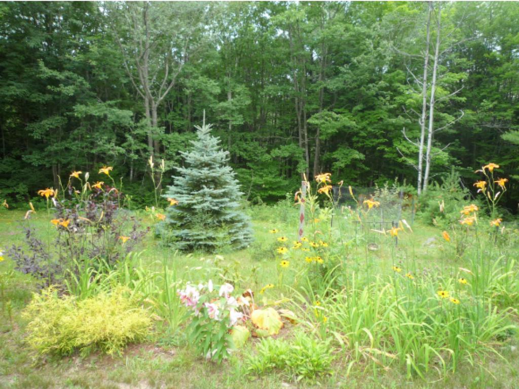 159 Wentworth Road Brookfield, NH 03872 - Photo 22 of 24