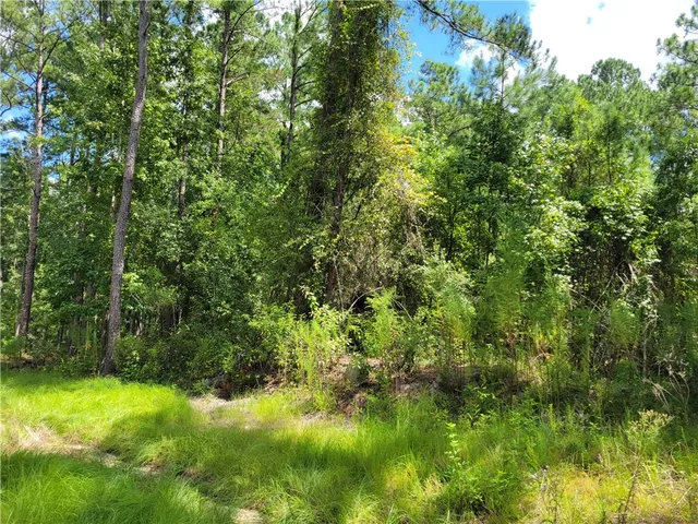 $30,000 | 123 Winn Clay Drive, Waycross, GA 31501