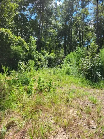 $30,000 | 123 Winn Clay Drive, Waycross, GA 31501