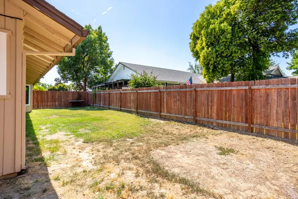 a view of a backyard with a large tree and wooden fence