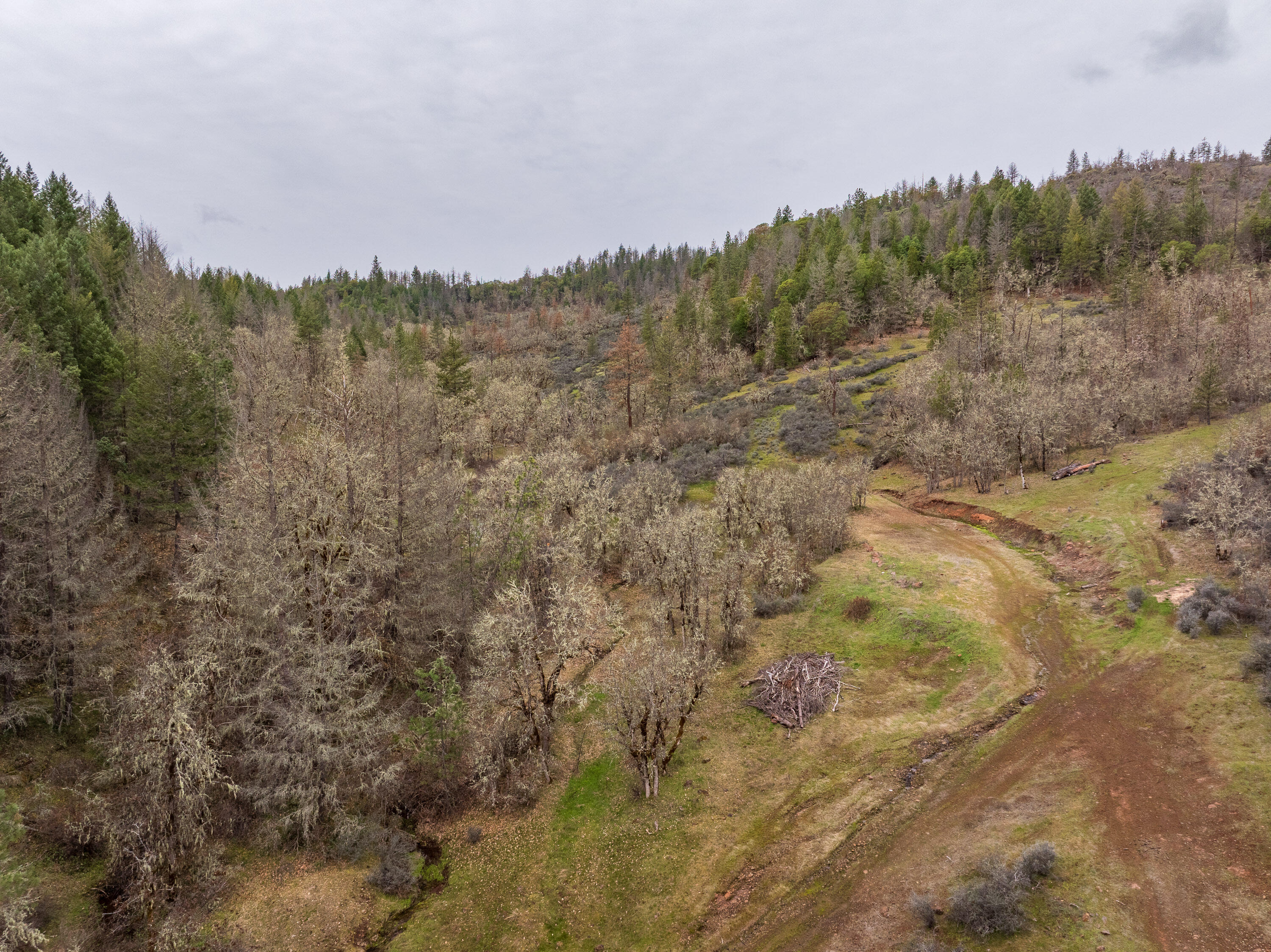 2527 Crowfoot Road Eagle Point, OR 97524 - Photo 18 of 24 2527CrowfootRd-017