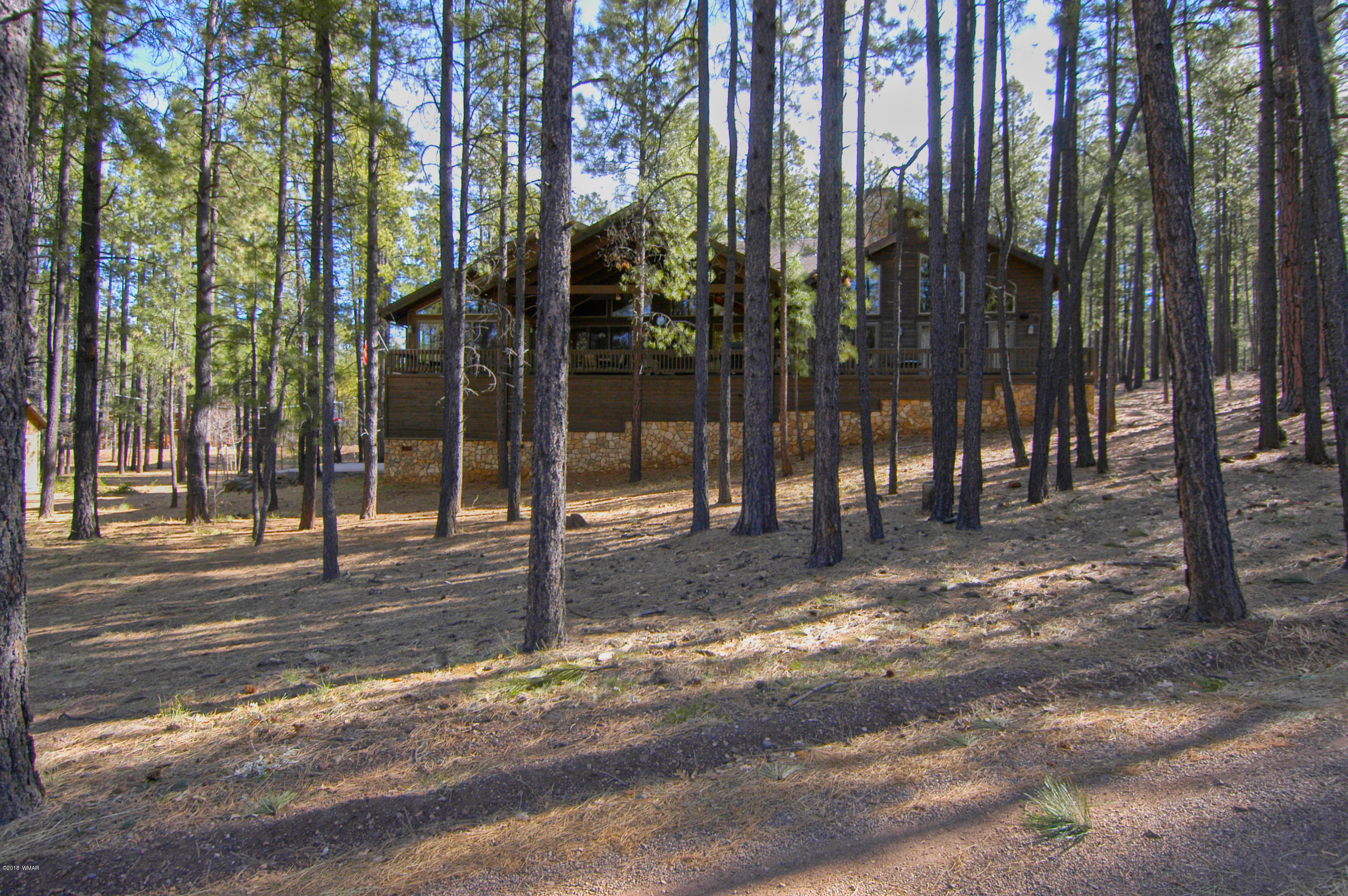 2883 Elk Road Pinetop, AZ 85935 - Photo 4 of 30 Gallery Image 4