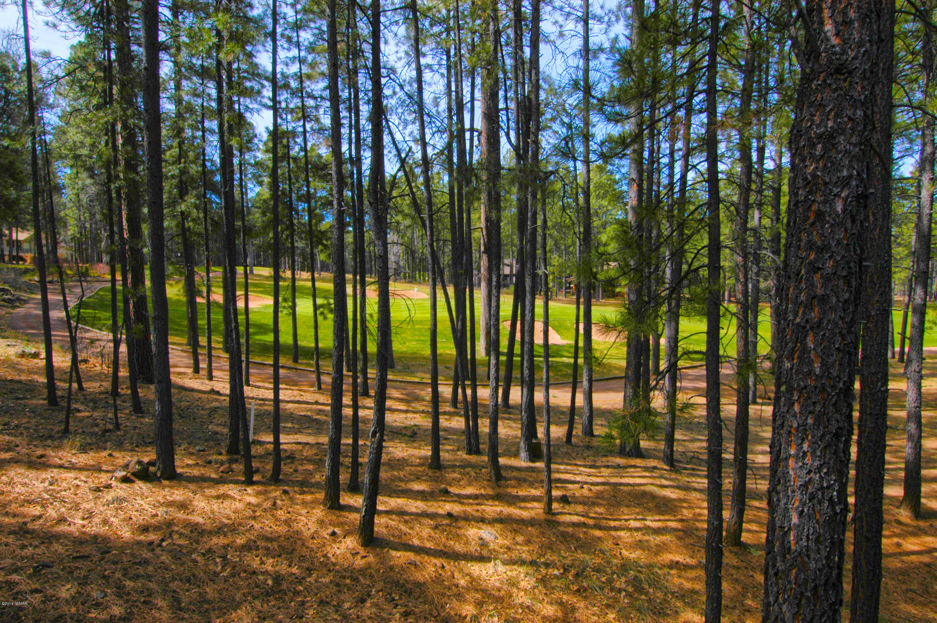 2883 Elk Road Pinetop, AZ 85935 - Photo 7 of 30 Gallery Image 7