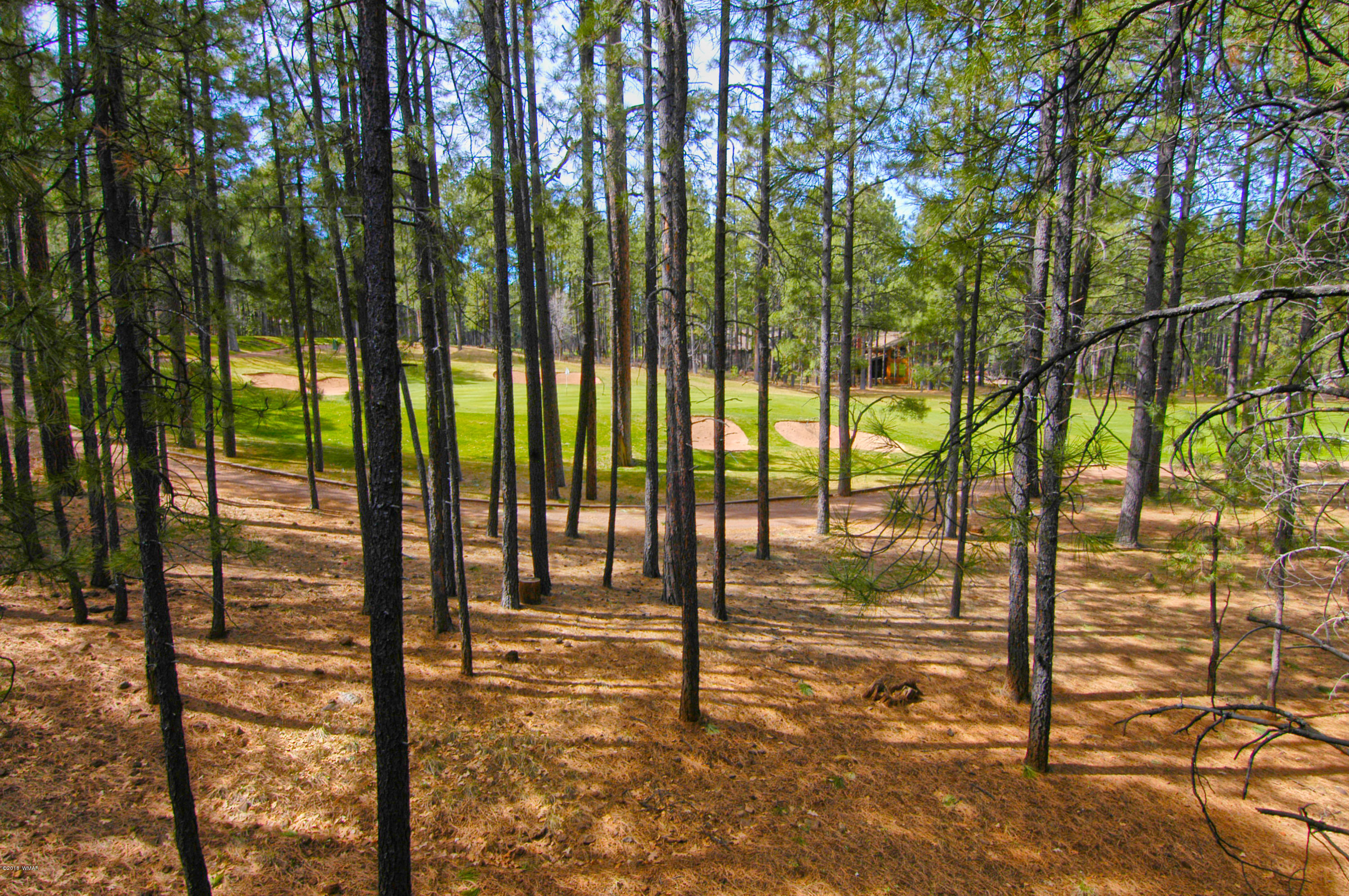 2883 Elk Road Pinetop, AZ 85935 - Photo 8 of 30 Gallery Image 8