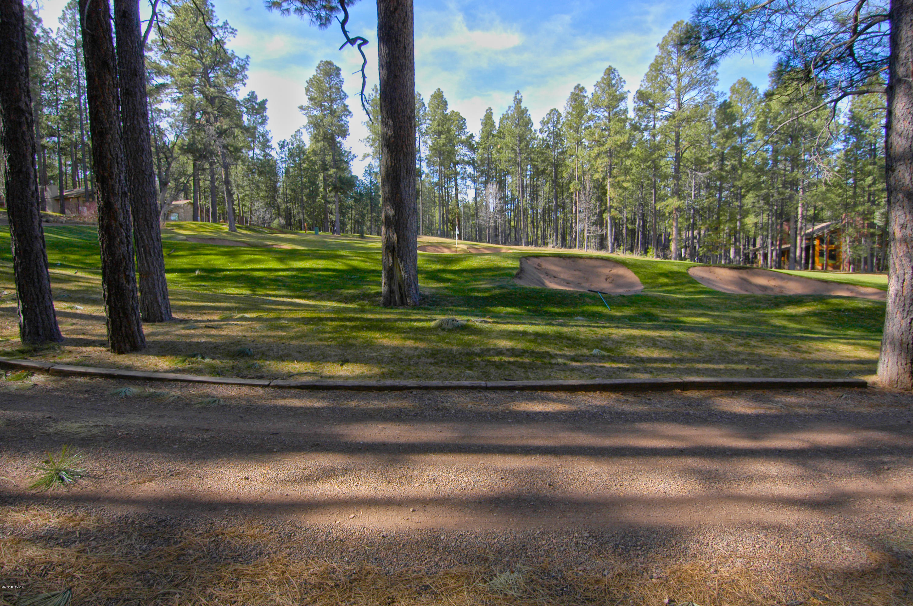 2883 Elk Road Pinetop, AZ 85935 - Photo 10 of 30 Gallery Image 10