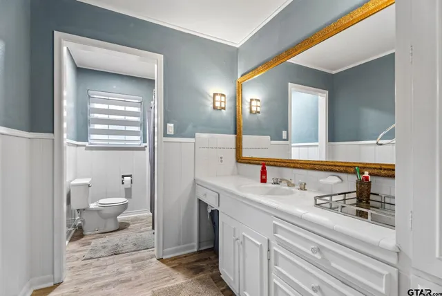 a bathroom with a toilet sink and mirror