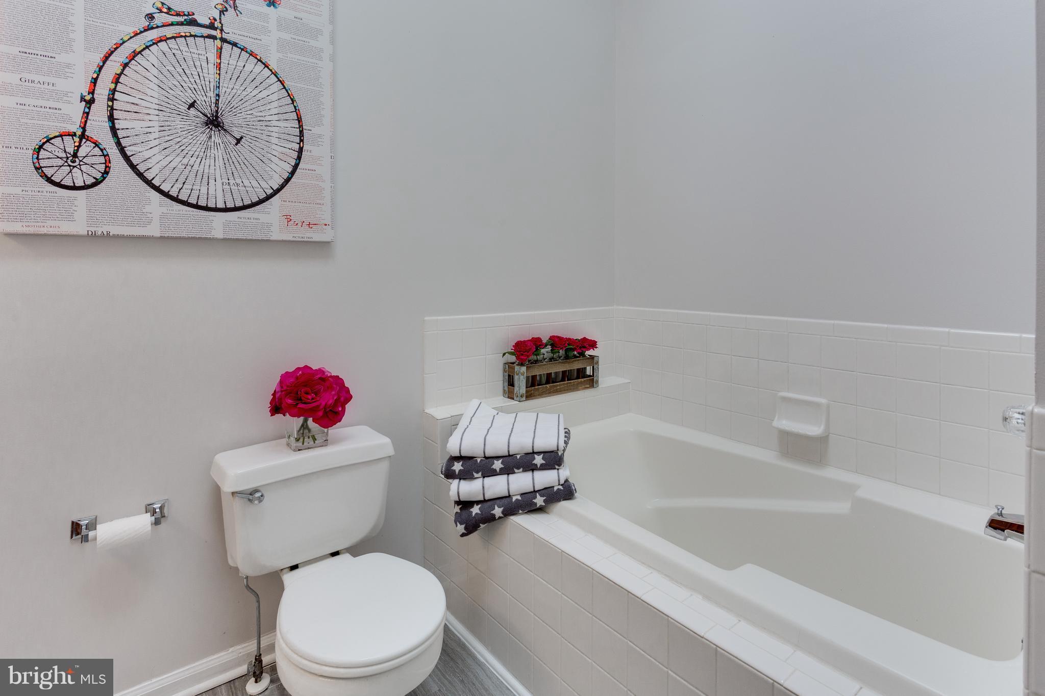 223 Sycamore Ridge Road Laurel, MD 20724 - Photo 22 of 29 Bath