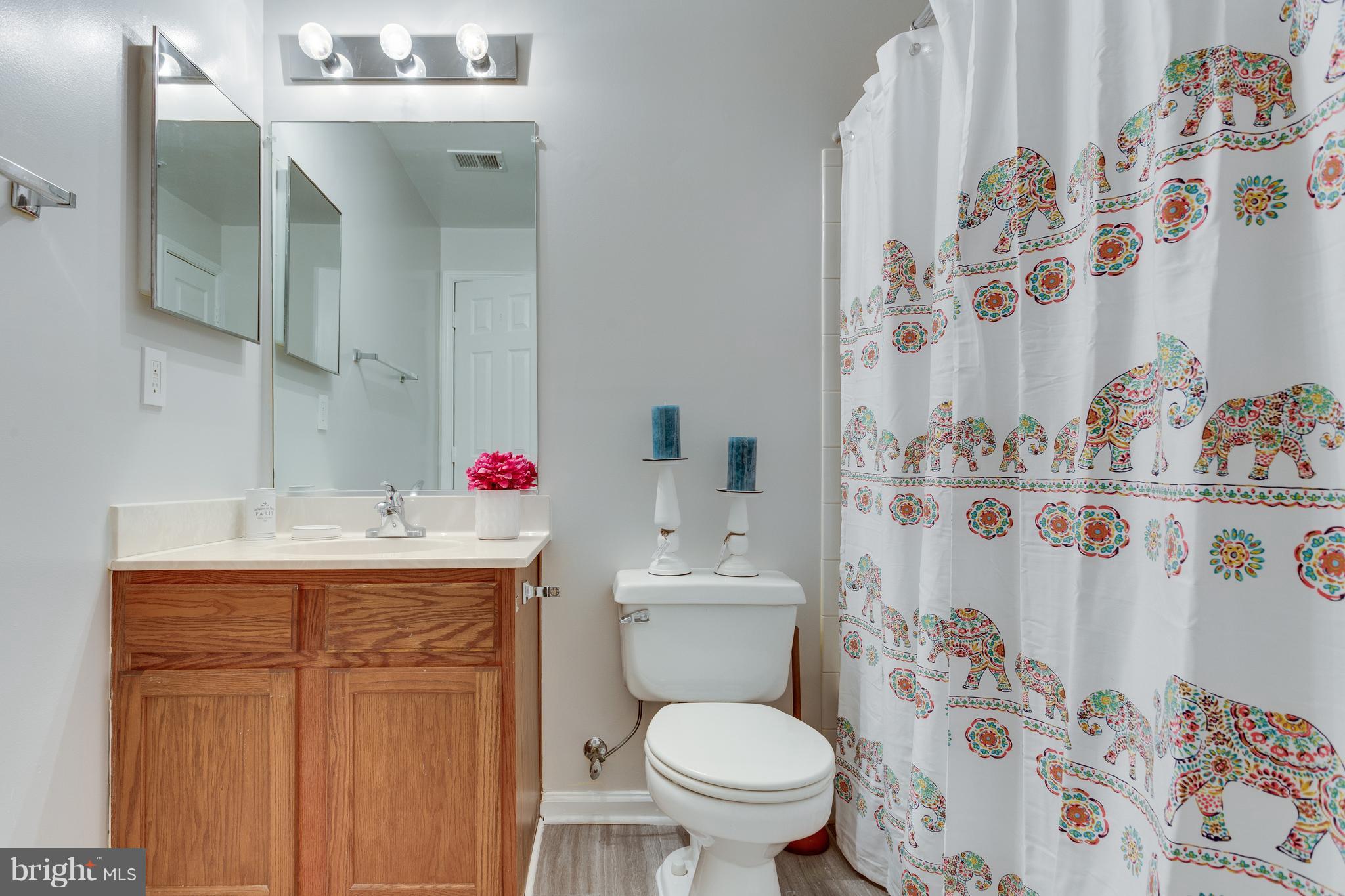 223 Sycamore Ridge Road Laurel, MD 20724 - Photo 24 of 29 Bath