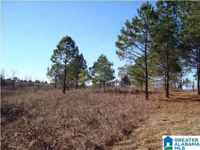 29 Highway Ac Al, Unit 33 Oneonta, AL 35121 - Photo 6 of 23