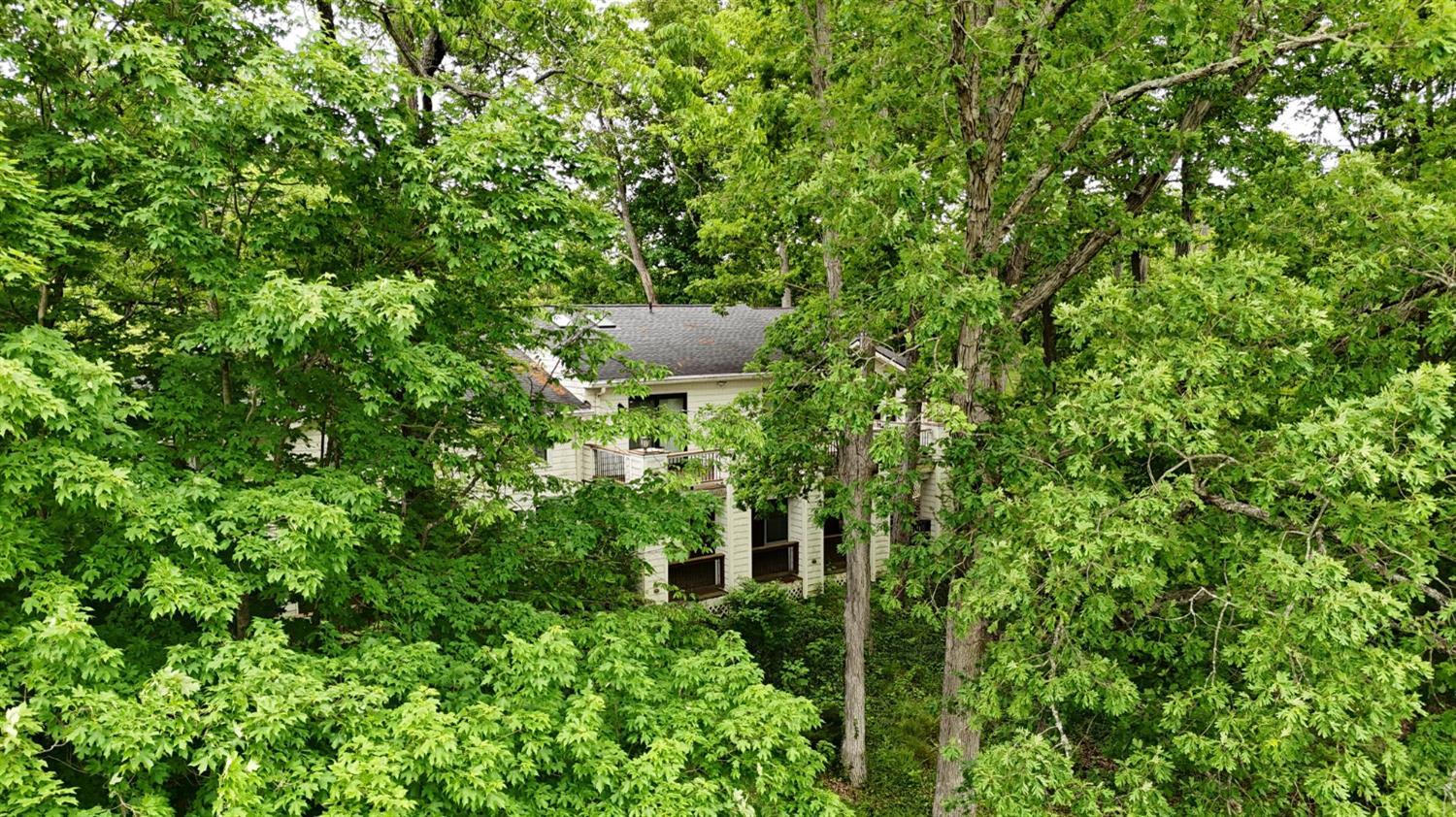 6499 Stonegate Drive Guilford, IN 47022 - Photo 72 of 73