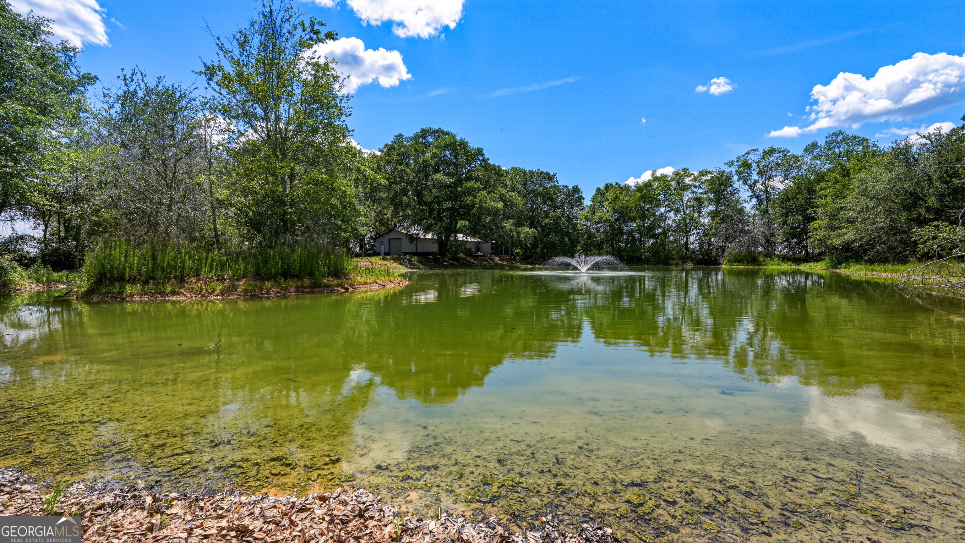 0 Ritch Church Road Screven, GA 31560 - Photo 43 of 43