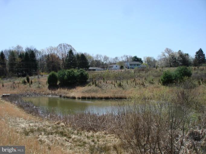 Pond