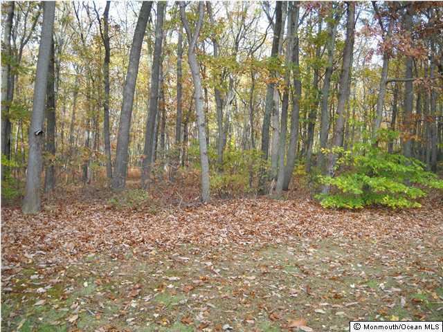 25 Sanders Lane Cream Ridge, NJ 08514 - Photo 2 of 3 Additional Photo