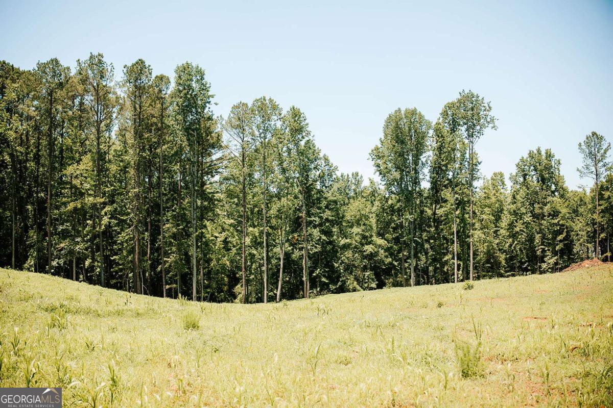 0 Mitchell Farm Road Colbert, GA 30628 - Photo 26 of 45