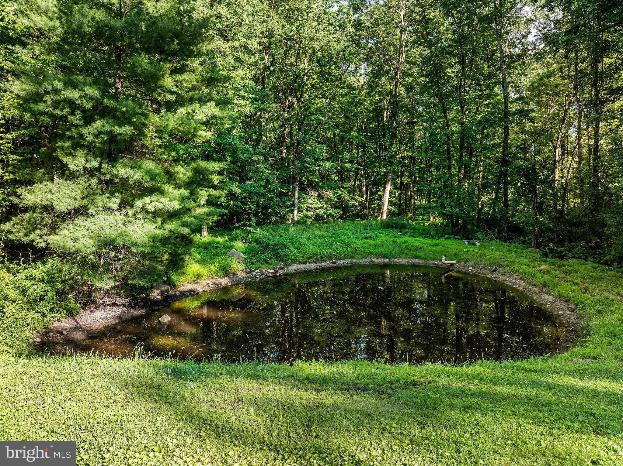 781 Fairview Road Glenmoore, PA 19343 - Photo 50 of 56 Private pond