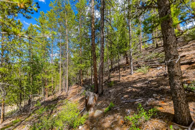 a view of a tennis court