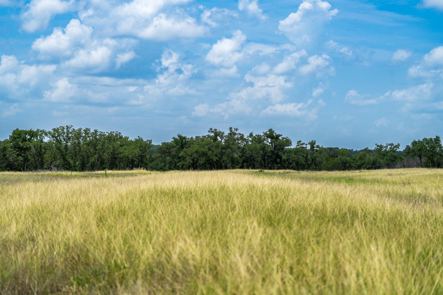 3979 Chimney Valley Road Blanco, TX 78606 - Photo 23 of 34 a view of an ocean from a yard