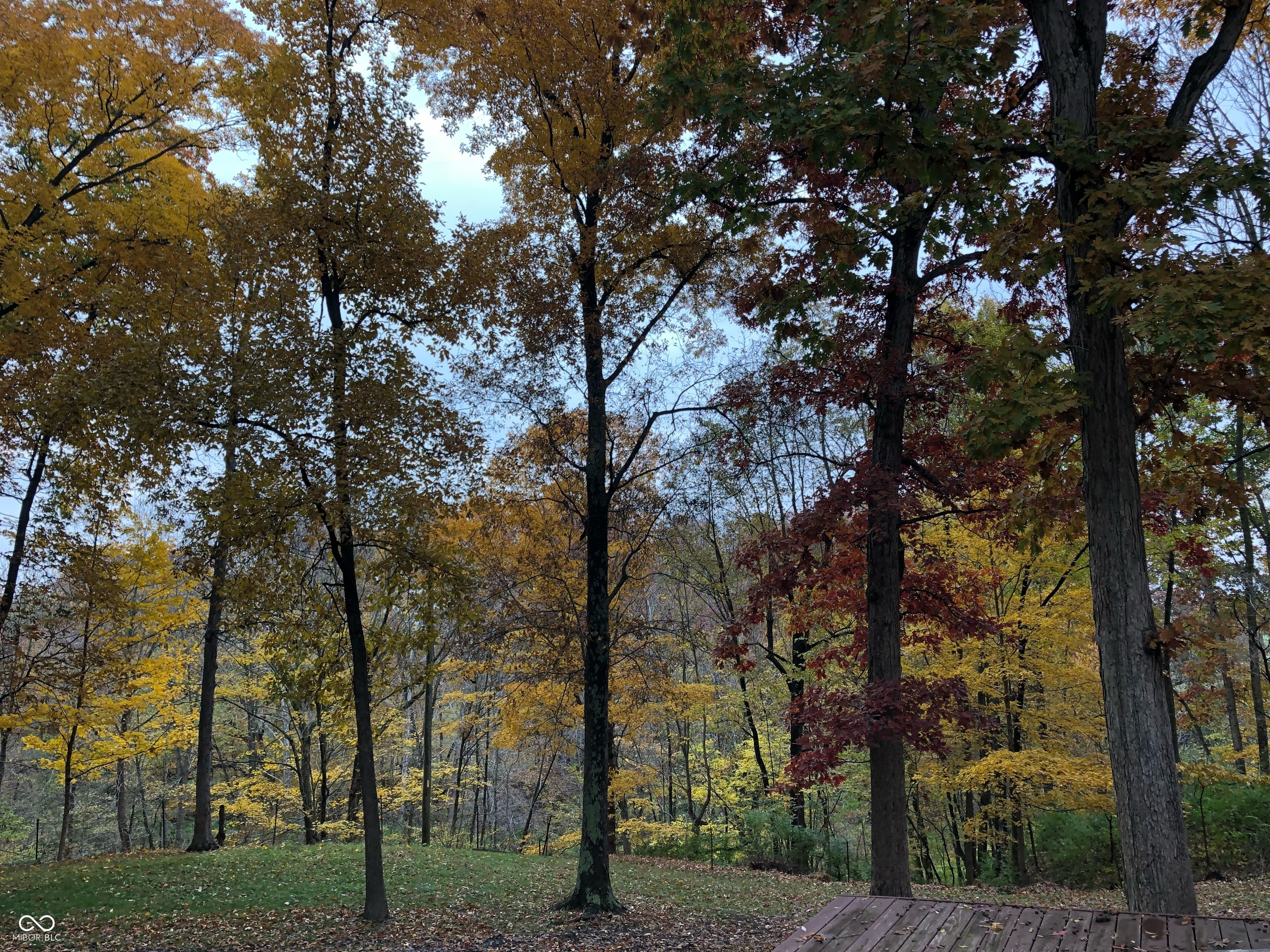 786 East Bonebrake Road Veedersburg, IN 47987 - Photo 33 of 34