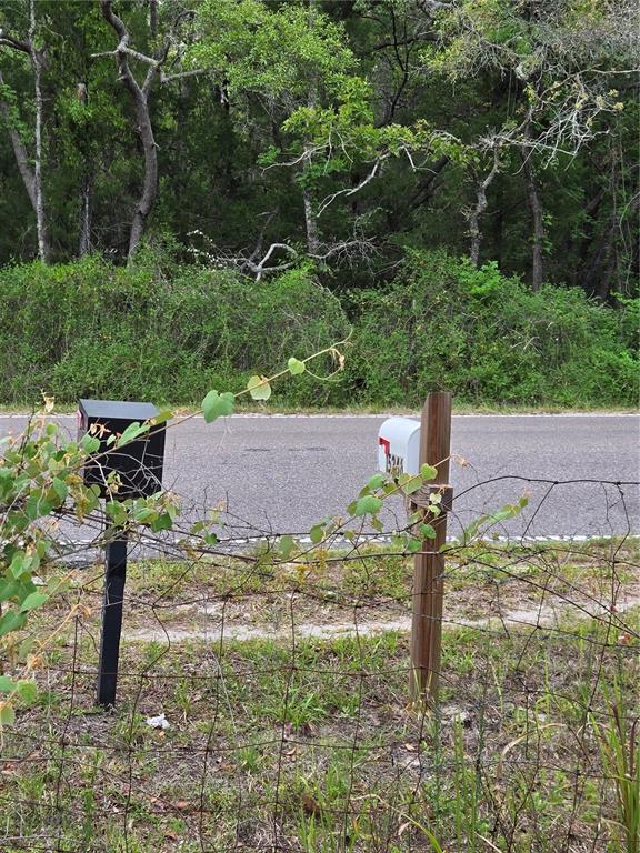 15246 Peace Boulevard Spring Hill, FL 34610 - Photo 28 of 61