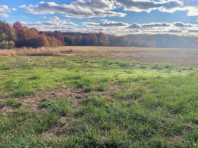 14000 Sydney Road Hannibal, MO 63401 - Photo 41 of 50