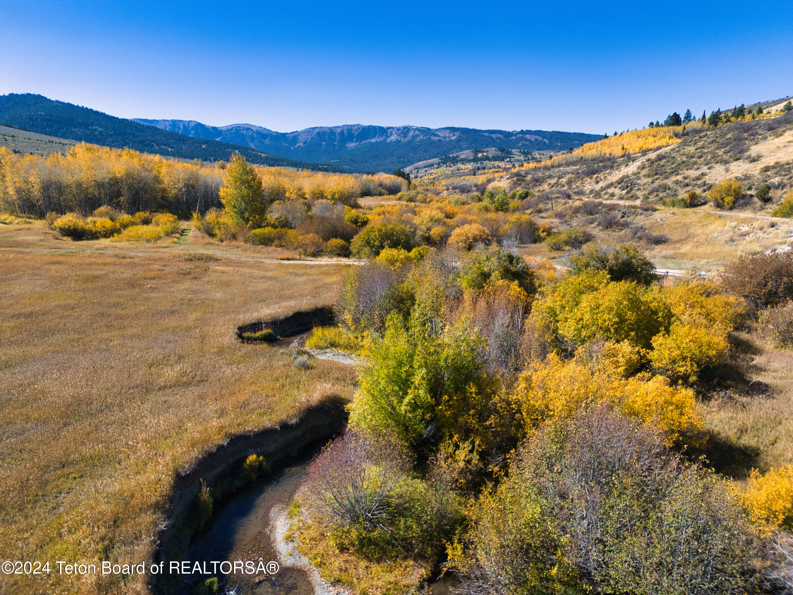 Teton Jewel Properties Driggs, ID 83422 - Photo 8 of 63 286001_Homestead Cabin Parcel_4