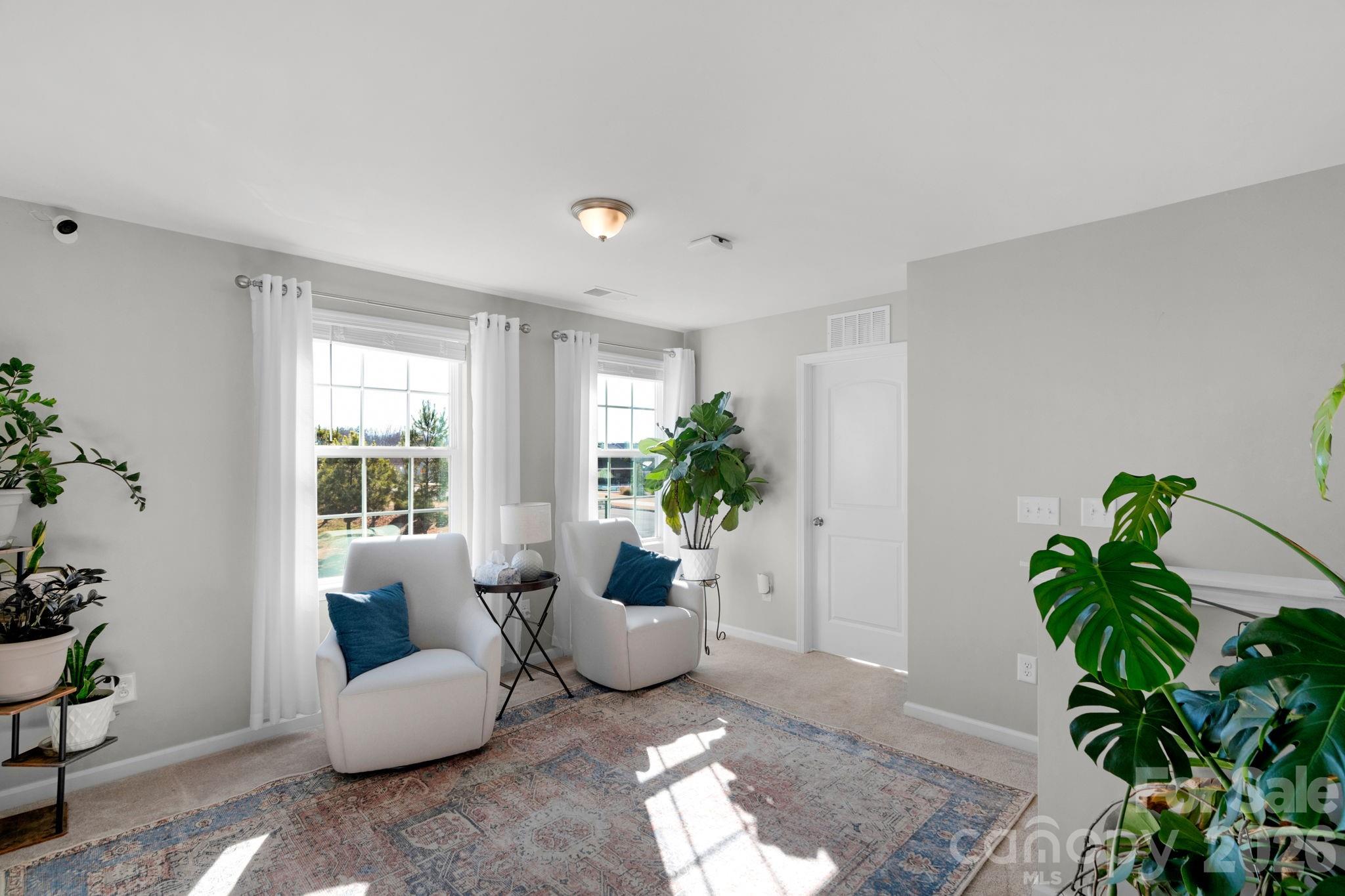4280 Coachwhip Avenue Lancaster, SC 29720 - Photo 24 of 48 a living room with furniture and a potted plant