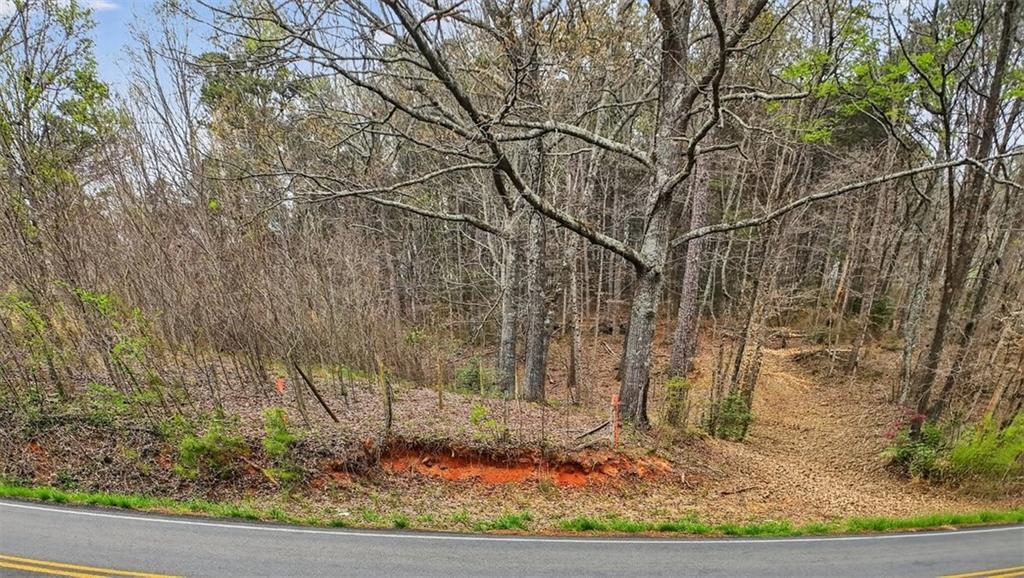 1812 Upper Bethany Road Ball Ground, GA 30107 - Photo 11 of 11