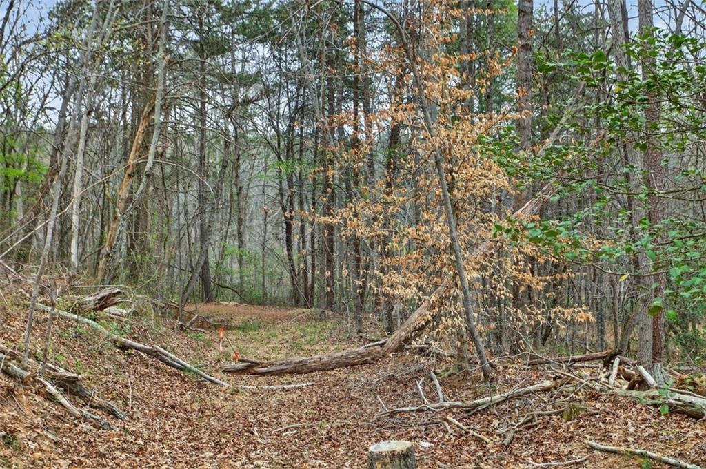 1812 Upper Bethany Road Ball Ground, GA 30107 - Photo 3 of 11