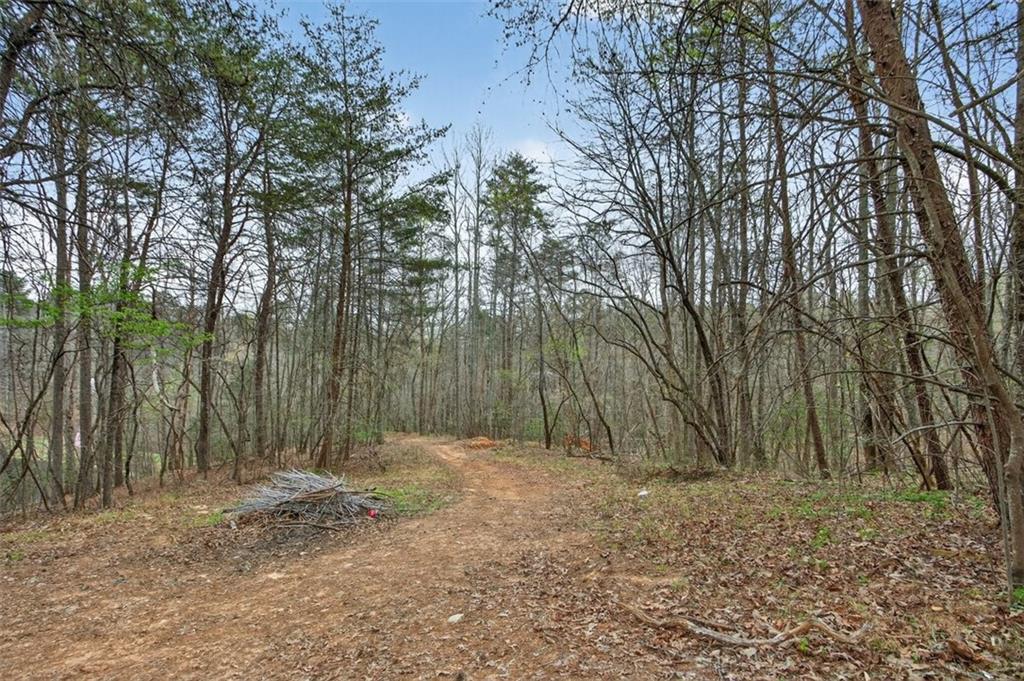 1812 Upper Bethany Road Ball Ground, GA 30107 - Photo 4 of 11