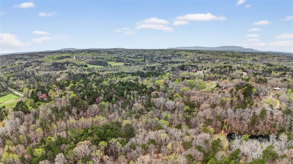 1812 Upper Bethany Road Ball Ground, GA 30107 - Photo 5 of 11