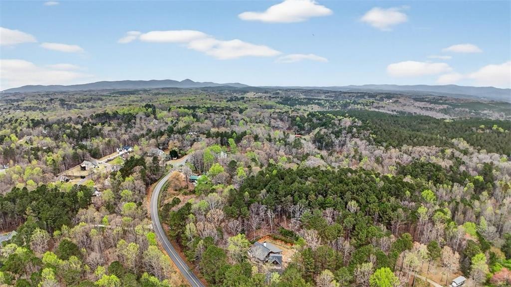 1812 Upper Bethany Road Ball Ground, GA 30107 - Photo 6 of 11