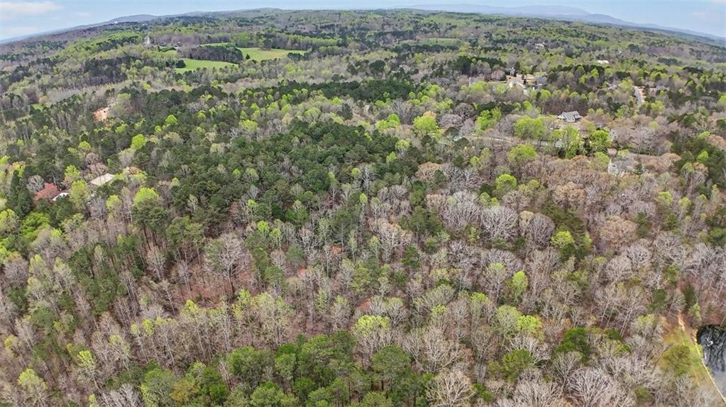 1812 Upper Bethany Road Ball Ground, GA 30107 - Photo 9 of 11