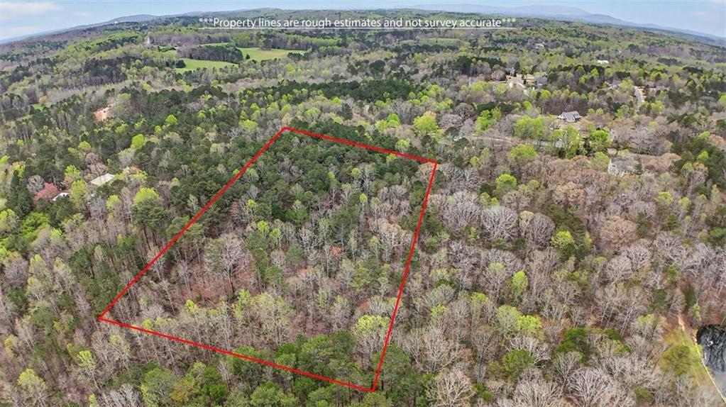 1812 Upper Bethany Road Ball Ground, GA 30107 - Photo 10 of 11