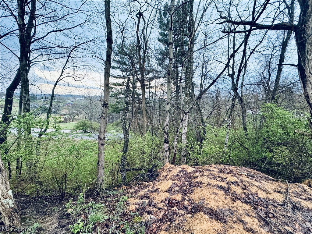 Saylor Road Morgantown, WV 26501 - Photo 5 of 11 FROM THE TOP OF THE PROPERTY LOOKING DOWN TOWARD THE ROAD