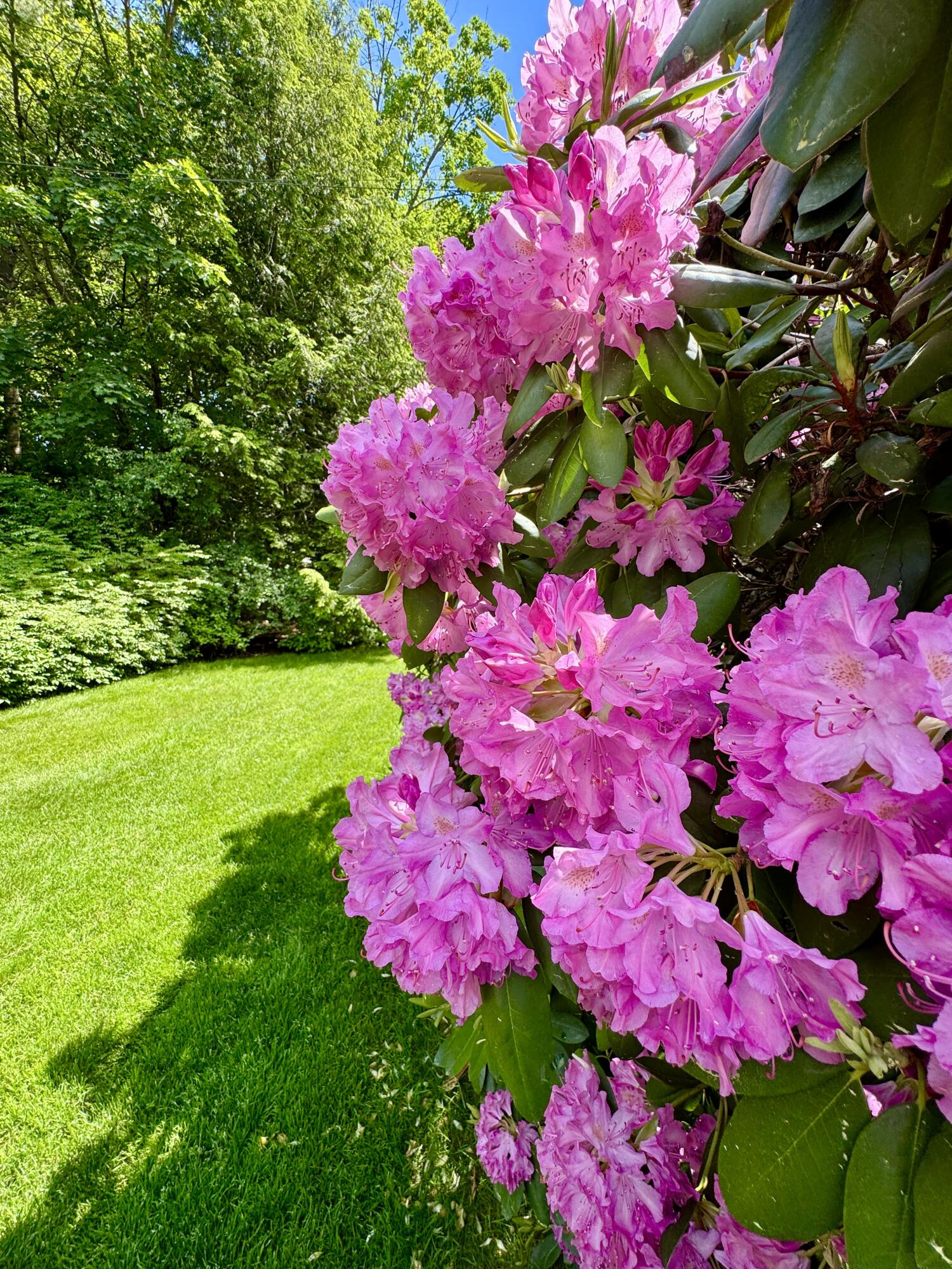 281 Clyde Road Bangor, ME 04401 - Photo 71 of 108 IMG_9095