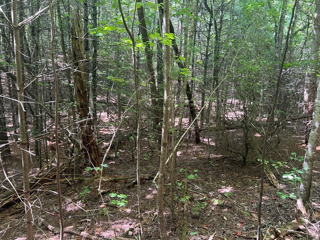 Lot 6-7 Donley Road Murphy, NC 28906 - Photo 7 of 14