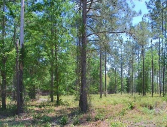 Lot 13 Watermark Mount Hortense, GA 31543 - Photo 1 of 1