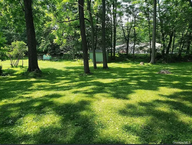 a view of yard with trees