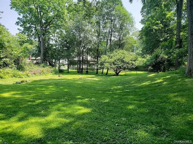 a view of a grassy field with trees