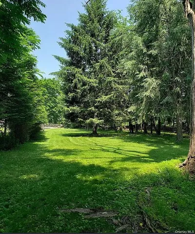 a view of a grassy field with trees