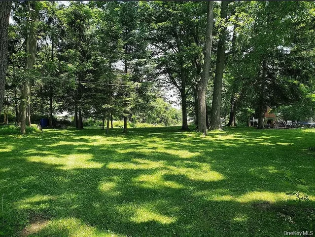 a view of green field