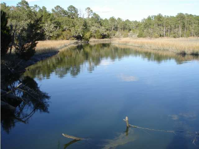 1 Toogoodoo Road Meggett, SC 29449 - Photo 1 of 24 Primary Photo