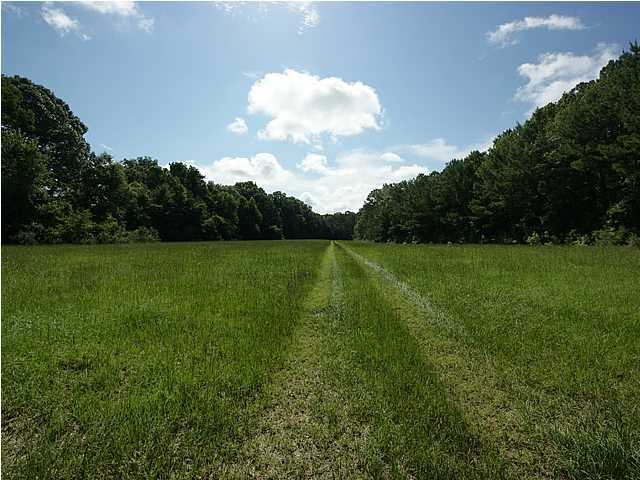 1 Toogoodoo Road Meggett, SC 29449 - Photo 11 of 24 Additional Photo