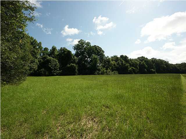 1 Toogoodoo Road Meggett, SC 29449 - Photo 12 of 24 Additional Photo