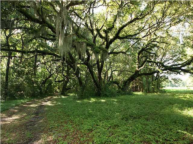1 Toogoodoo Road Meggett, SC 29449 - Photo 13 of 24 Additional Photo