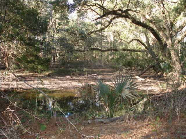 1 Toogoodoo Road Meggett, SC 29449 - Photo 7 of 24 Additional Photo