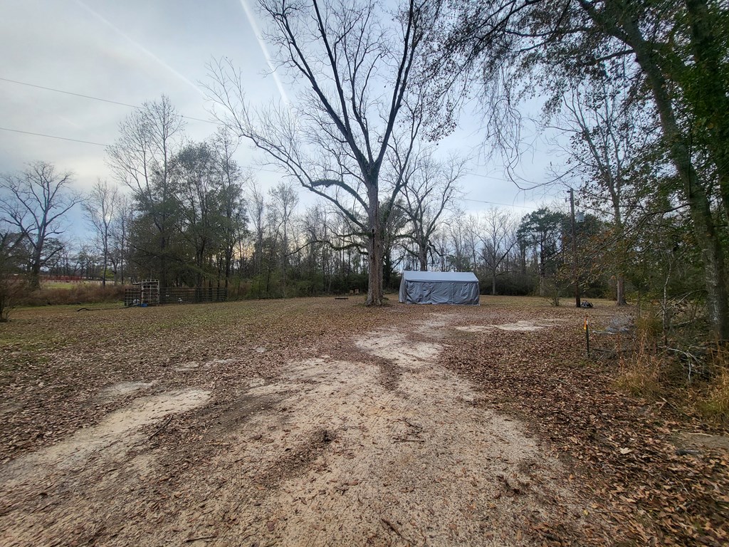 2230 Coot Adams Road Ashford, AL 36312 - Photo 32 of 34 Optional, additional adjoining land for purchase