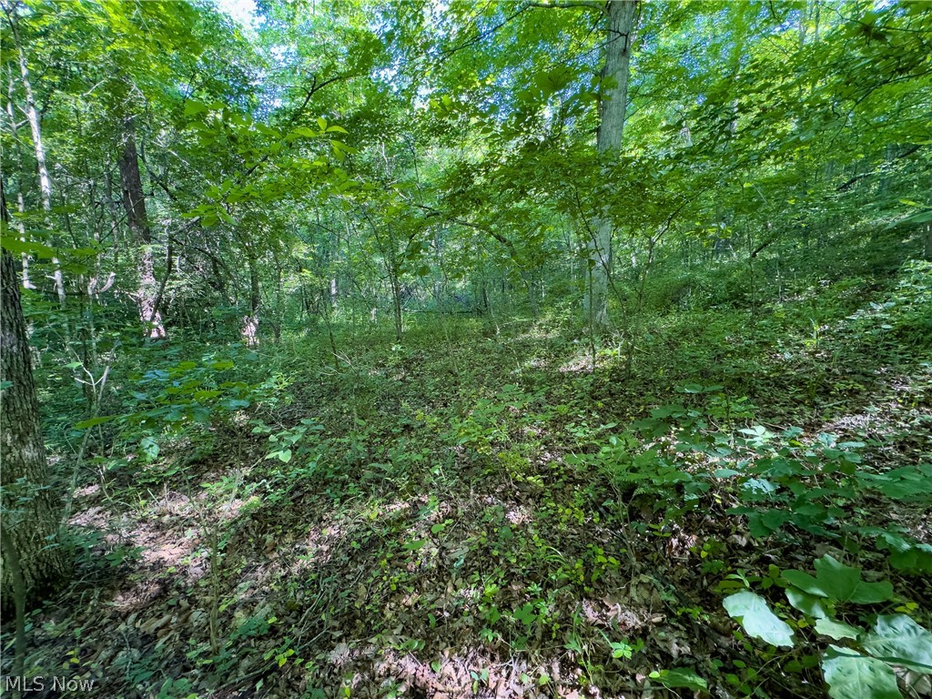 0 Jake Road Patriot, OH 45658 - Photo 5 of 15