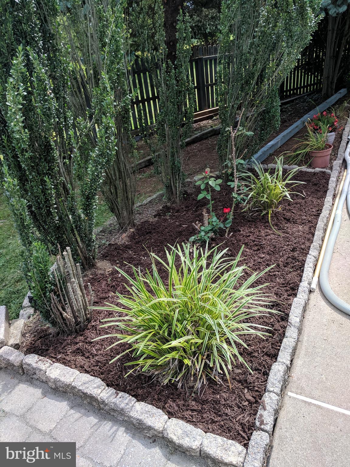 116 East Endfield Road Feasterville-Trevose, PA 19053 - Photo 63 of 63 Landscaping